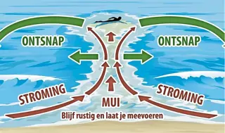 Nieuw drama door muien voor Egmondse kust