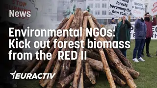 NGO's 'set fire' to protest use of forest biomass