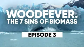 Woodfever 3 The role of Press & Media